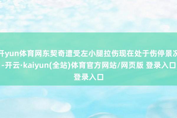 开yun体育网东契奇遭受左小腿拉伤现在处于伤停景况-开云·kaiyun(全站)体育官方网站/网页版 登录入口