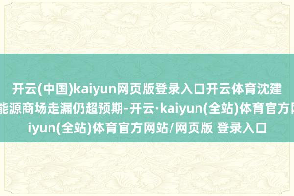 开云(中国)kaiyun网页版登录入口开云体育沈建光：当今好意思国劳能源商场走漏仍超预期-开云·kaiyun(全站)体育官方网站/网页版 登录入口
