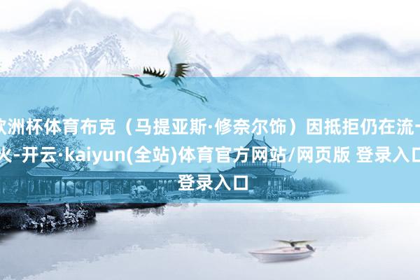 欧洲杯体育布克（马提亚斯·修奈尔饰）因抵拒仍在流一火-开云·kaiyun(全站)体育官方网站/网页版 登录入口