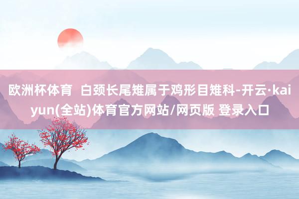 欧洲杯体育  白颈长尾雉属于鸡形目雉科-开云·kaiyun(全站)体育官方网站/网页版 登录入口