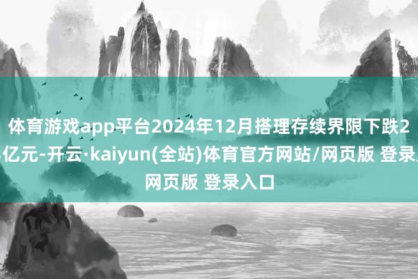 体育游戏app平台2024年12月搭理存续界限下跌2053亿元-开云·kaiyun(全站)体育官方网站/网页版 登录入口