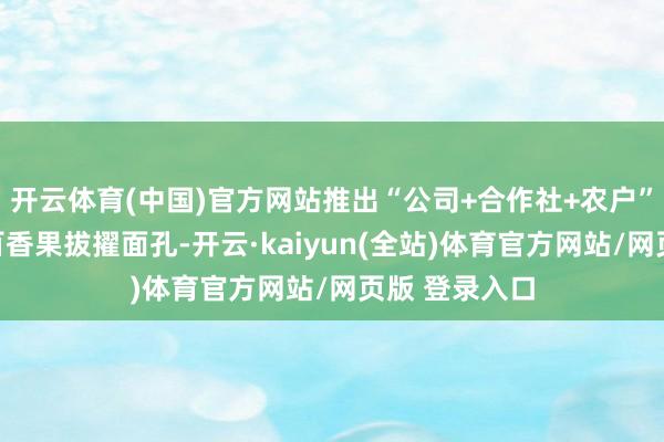 开云体育(中国)官方网站推出“公司+合作社+农户”的联农带农百香果拔擢面孔-开云·kaiyun(全站)体育官方网站/网页版 登录入口
