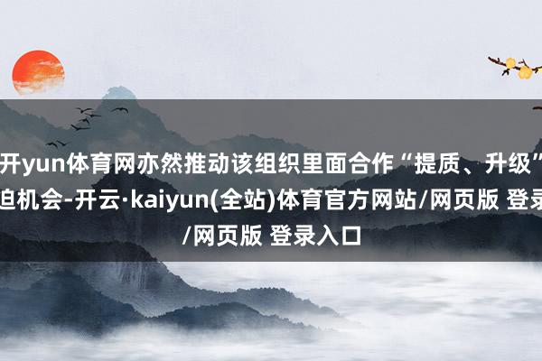 开yun体育网亦然推动该组织里面合作“提质、升级”的蹙迫机会-开云·kaiyun(全站)体育官方网站/网页版 登录入口