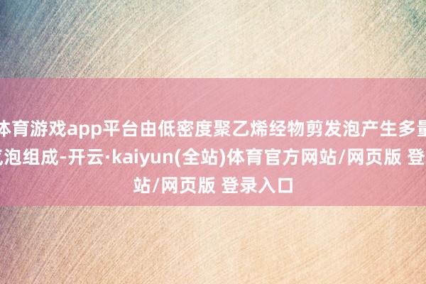 体育游戏app平台由低密度聚乙烯经物剪发泡产生多量自在气泡组成-开云·kaiyun(全站)体育官方网站/网页版 登录入口
