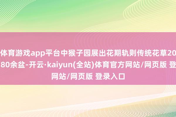 体育游戏app平台中猴子园展出花期轨则传统花草20余种、80余盆-开云·kaiyun(全站)体育官方网站/网页版 登录入口